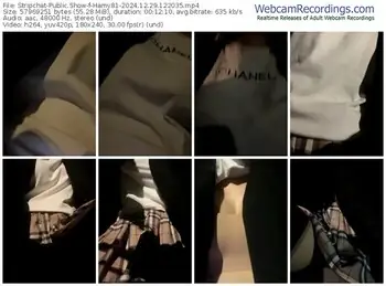 stripchat-hamy81-12-29-2024-12-20-35