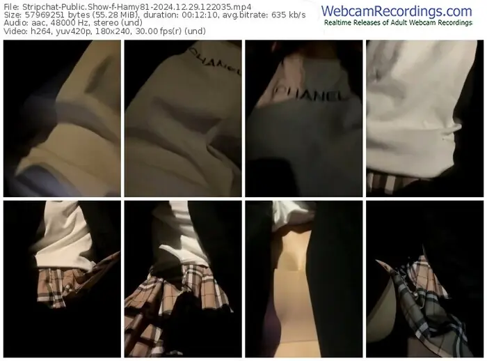 stripchat-hamy81-12-29-2024-12-20-35