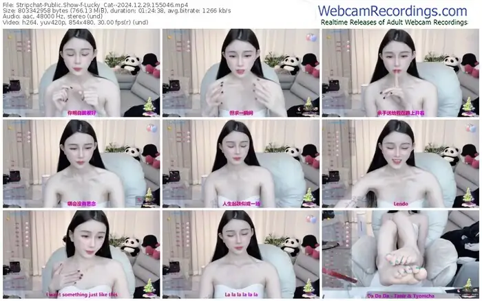 stripchat-lucky_cat--12-29-2024-15-50-46