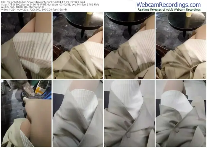 stripchat-naughtypublic-12-29-2024-13-03-49