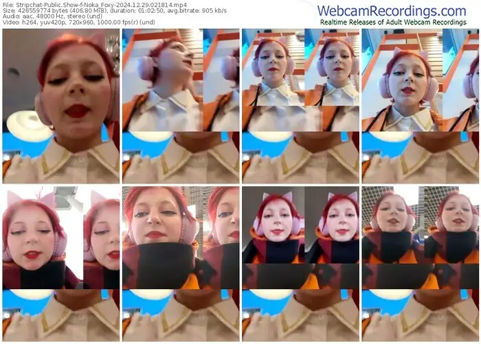 stripchat-noka_foxy-12-29-2024-02-18-14