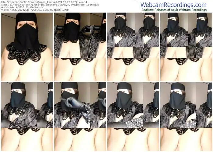 stripchat-queen_amina-12-29-2024-08-27-14