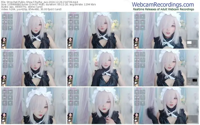 stripchat-ruirui_ovo-12-29-2024-15-47-39