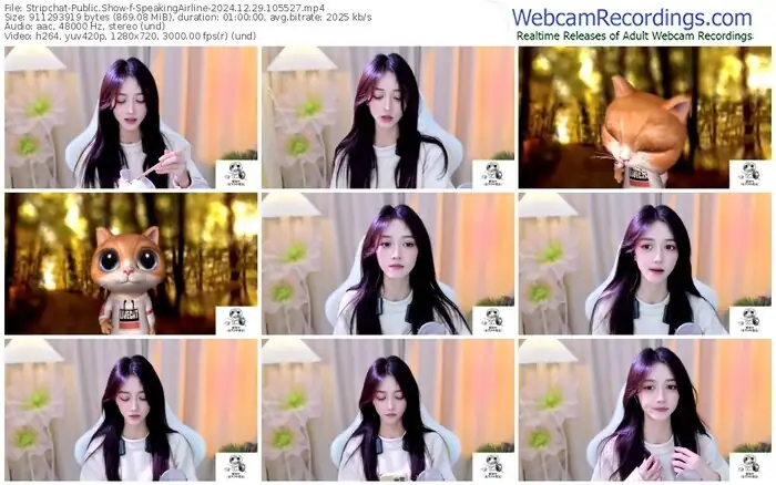 stripchat-speakingairline-12-29-2024-10-55-27