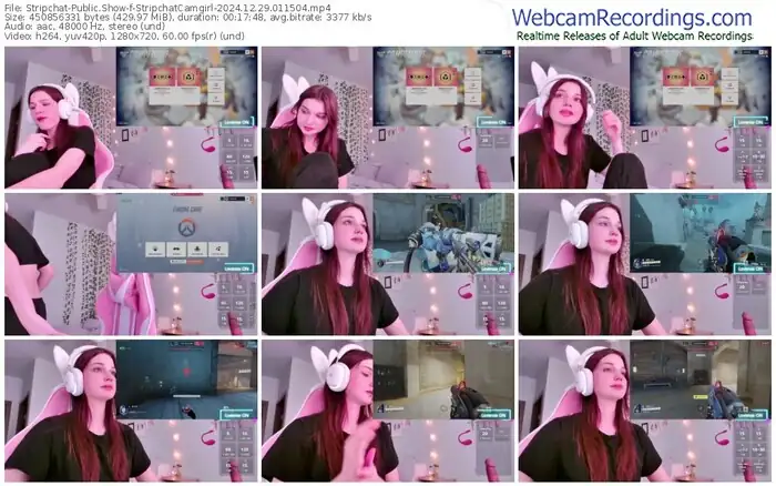 stripchat-stripchatcamgirl-12-29-2024-01-15-04