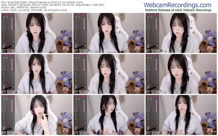 stripchat-vaness-a-12-29-2024-16-04-01