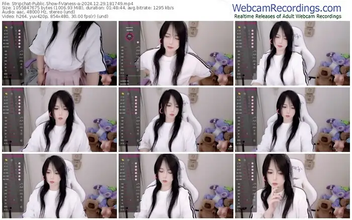 stripchat-vaness-a-12-29-2024-18-17-49