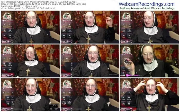 stripchat-wickedaphrodite-12-29-2024-03-09-55