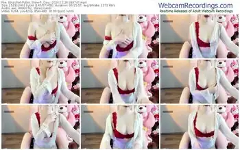 stripchat-_dau_-12-29-2024-08-37-47