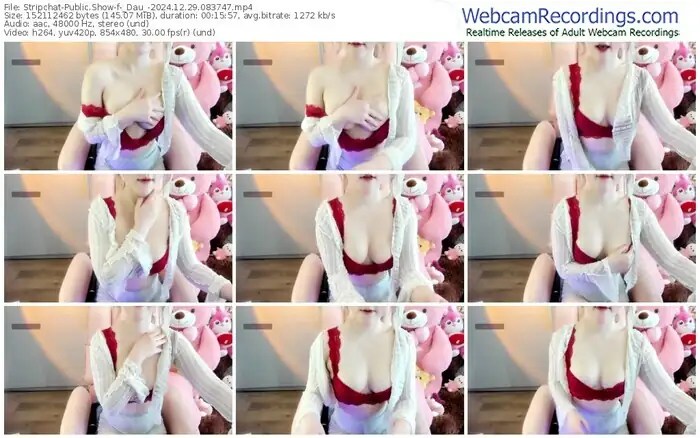 stripchat-_dau_-12-29-2024-08-37-47