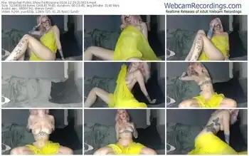 stripchat-kittyazora-12-29-2024-21-56-19