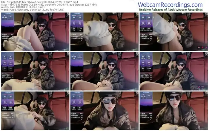 stripchat-newwell-12-29-2024-17-36-37