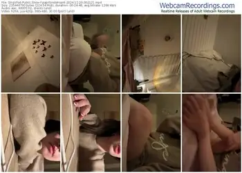 stripchat-papillondansant-12-29-2024-00-21-21