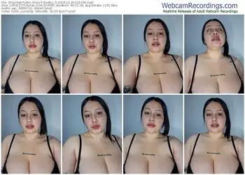 stripchat-steefyy_0-12-29-2024-02-16-36