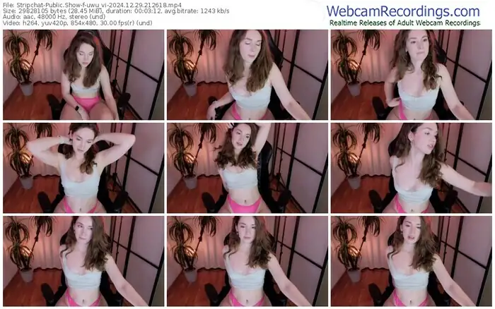 stripchat-uwu_vi-12-29-2024-21-26-18