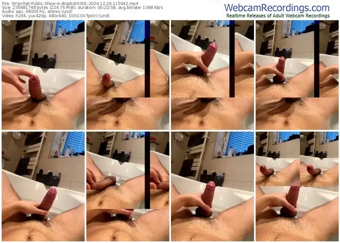 stripchat-bigdick0301-12-29-2024-11-56-42