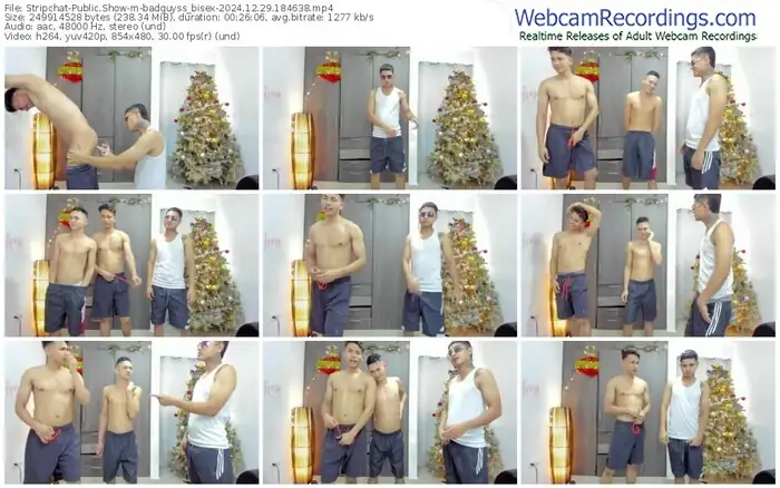 stripchat-badguyss_bisex-12-29-2024-18-46-38