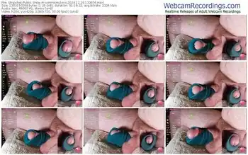 stripchat-controlmytoys-12-29-2024-13-36-56