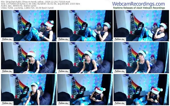 stripchat-twink_sebas_-12-29-2024-17-20-18