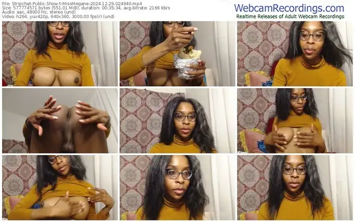 stripchat-missmegane-12-29-2024-02-49-40