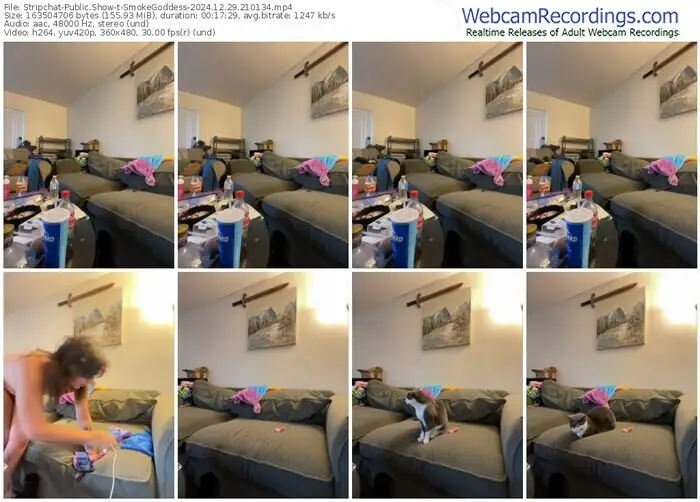 stripchat-smokegoddess-12-29-2024-21-01-34