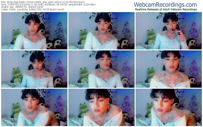 stripchat-little_star_porn-12-29-2024-05-16-00