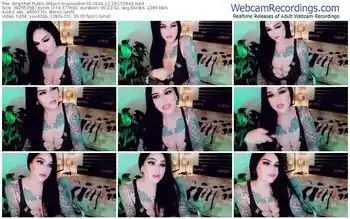 stripchat-mspunisher02-12-29-2024-15-54-42