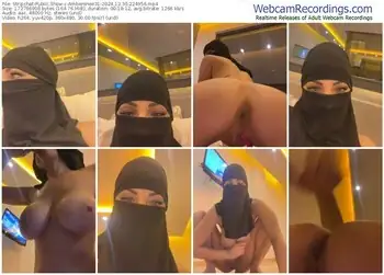 stripchat-amberonee31-12-30-2024-22-49-56