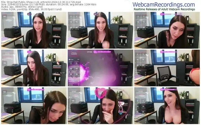 stripchat-lib_ertine32-12-30-2024-11-17-29