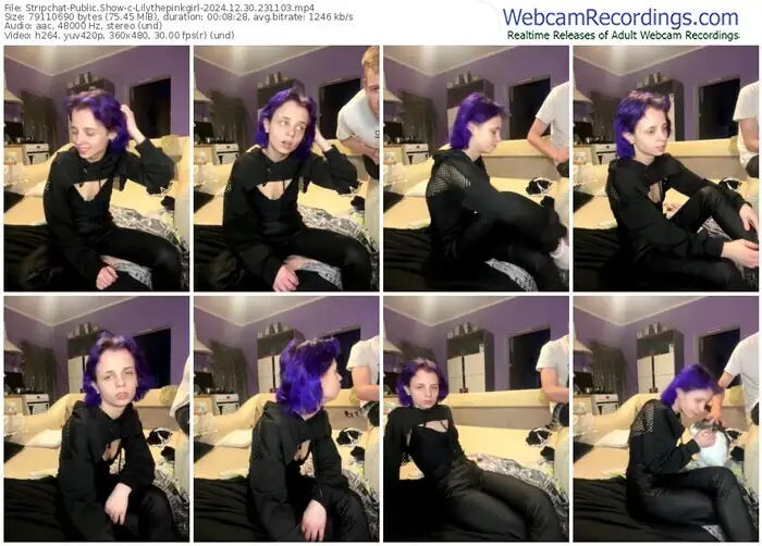 stripchat-lilythepinkgirl-12-30-2024-23-11-03