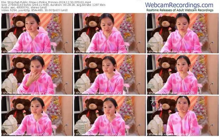 stripchat-pinkie_princes-12-30-2024-03-51-01