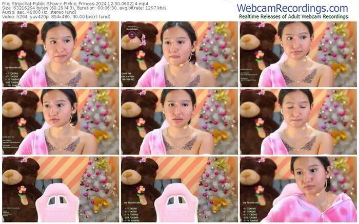 stripchat-pinkie_princes-12-30-2024-06-02-14