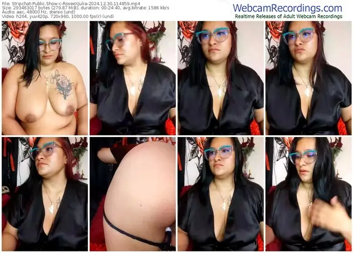 stripchat-roseexjulia-12-30-2024-11-48-59