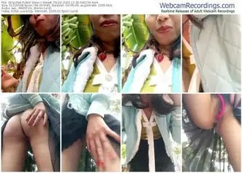 stripchat-sweet_toy20-12-30-2024-04-01-54