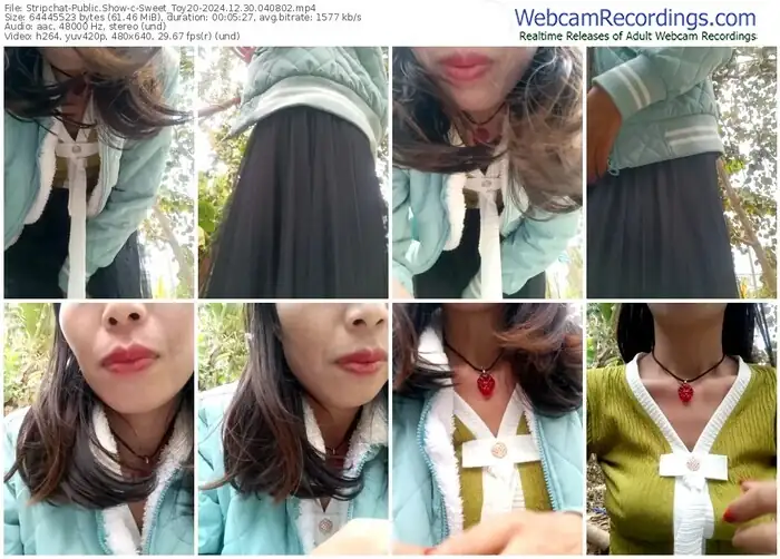 stripchat-sweet_toy20-12-30-2024-04-08-02