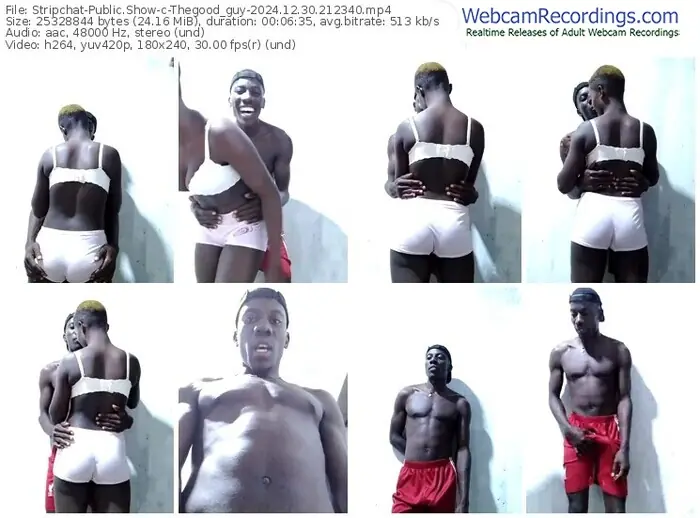 stripchat-thegood_guy-12-30-2024-21-23-40