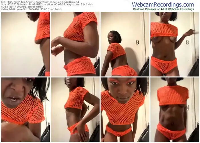 stripchat-honeybrow-12-30-2024-04-28-16