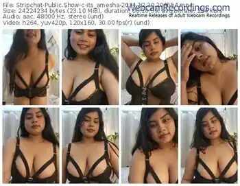 stripchat-its_amesha-12-30-2024-20-45-54