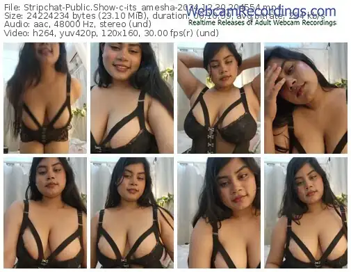 stripchat-its_amesha-12-30-2024-20-45-54