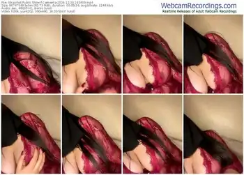 stripchat-cameelia-12-30-2024-16-34-09