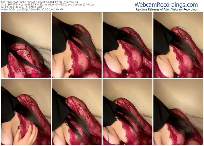 stripchat-cameelia-12-30-2024-16-34-09