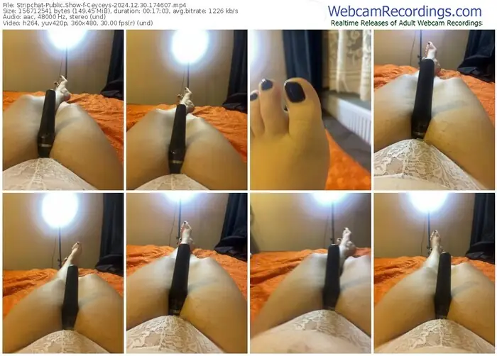 stripchat-ceyceys-12-30-2024-17-46-07