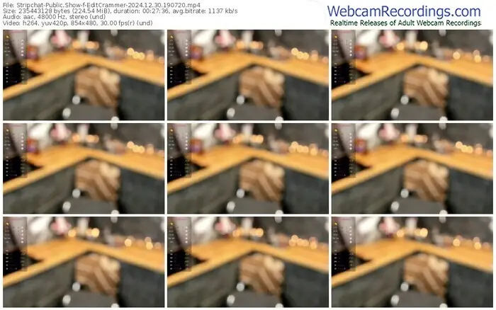 stripchat-editcrammer-12-30-2024-19-07-20