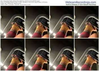 stripchat-fuc3dolllucy-12-30-2024-19-54-50