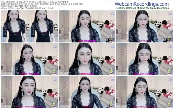 stripchat-lucky_cat--12-30-2024-12-35-30
