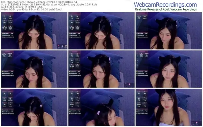 stripchat-mikaaoki-12-30-2024-09-28-46