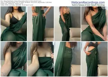 stripchat-ms_stella-12-30-2024-14-12-47