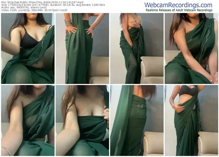 stripchat-ms_stella-12-30-2024-14-12-47