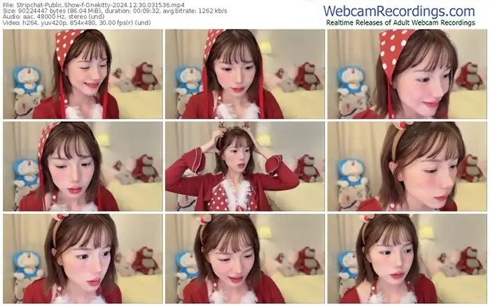 stripchat-onekitty-12-30-2024-03-15-36