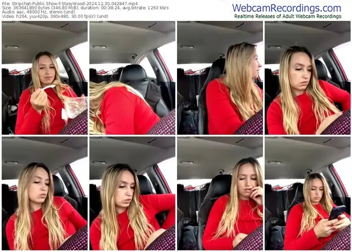 stripchat-stasywood-12-30-2024-04-28-47